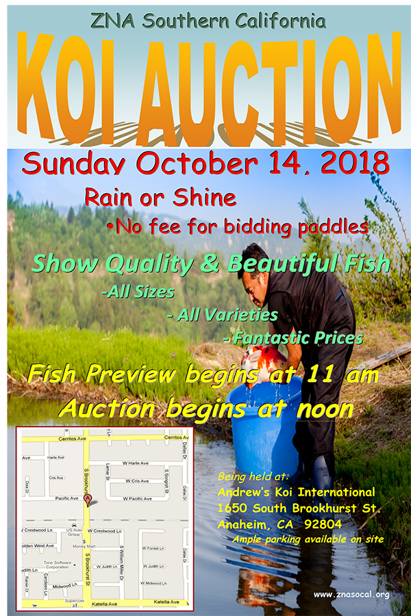 2018 Koi Auction 10-14 at Andrew&nbsp;Koi