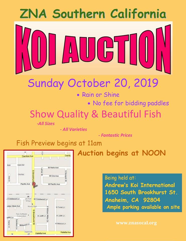 2019 Koi Auction At Andrew’s&nbsp;Koi