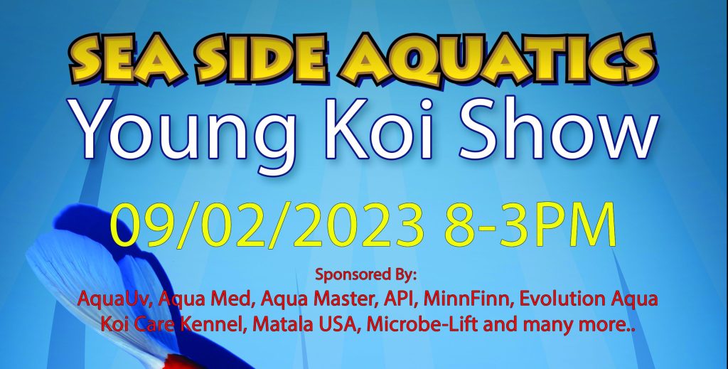 Sea Side Aquatics Young Koi Show Sept 2nd,&nbsp;2023